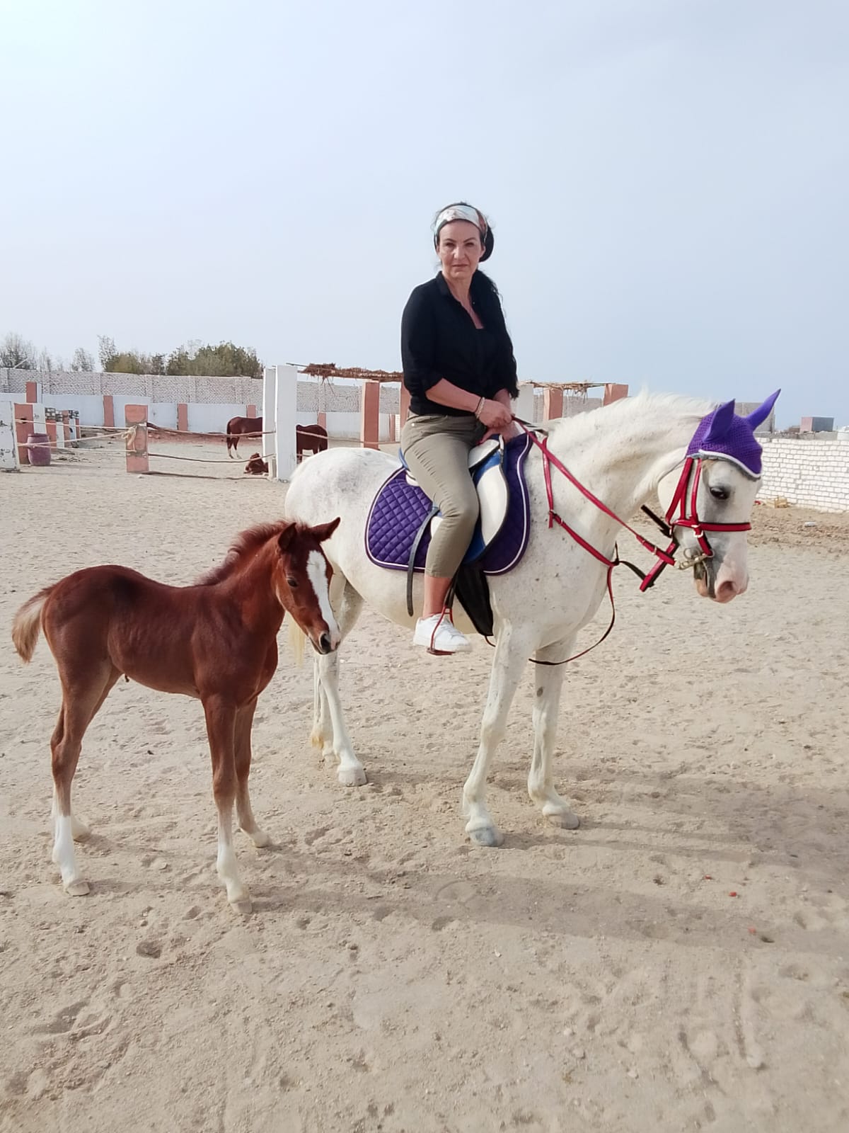 Rehana Horse moment 2